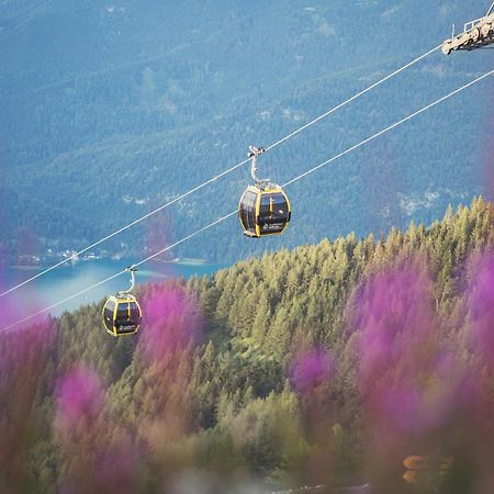 Apartement Zwoelferhorn Sankt Gilgen Buitenkant foto